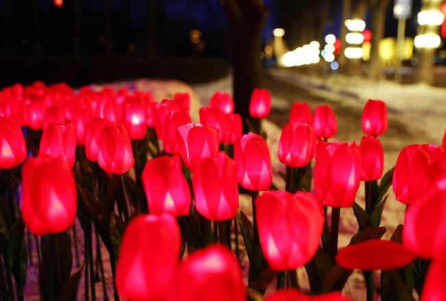 QQ截图20210208113726.jpg QQ截图20210208113726.jpg