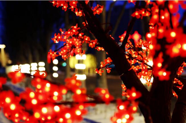 QQ截图20210208113740.jpg QQ截图20210208113740.jpg