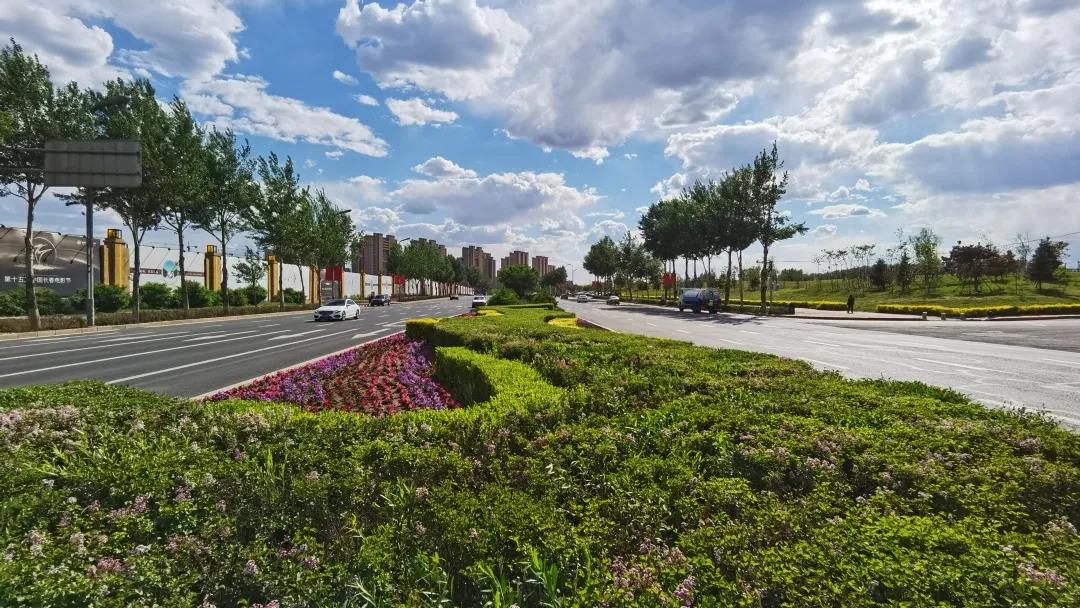 长春市绿园区住建局提升绿地景观效果 打造宜居城区