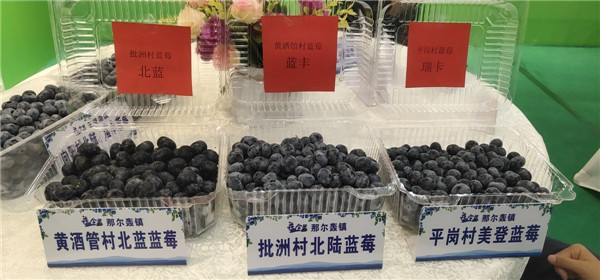 微信图片_20190724184227.jpg