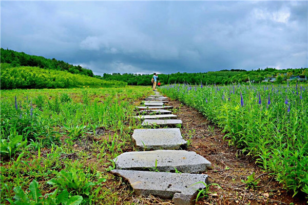 QQ图片20180626144316.jpg QQ图片20180626144316.jpg