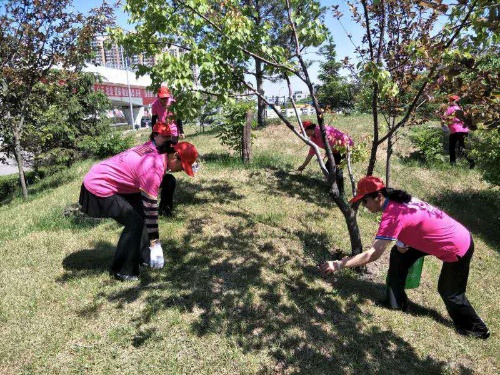 201706070011 201706070011